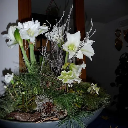 Garni Bonaria 2*
